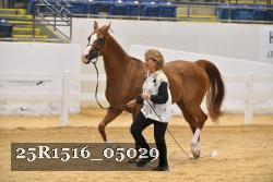 25R1516_05029 thumbnail