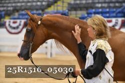25R1516_05030 thumbnail