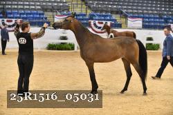 25R1516_05031 thumbnail