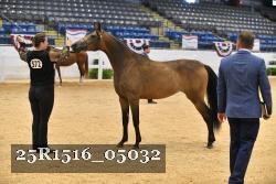 25R1516_05032 thumbnail