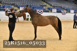 25R1516_05033 thumbnail