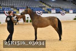 25R1516_05034 thumbnail