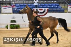 25R1516_05035 thumbnail