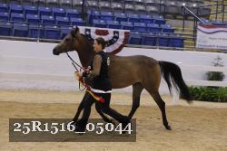 25R1516_05044 thumbnail