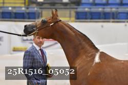 25R1516_05052 thumbnail