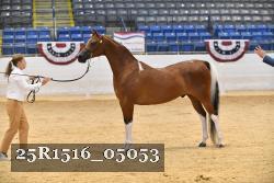 25R1516_05053 thumbnail