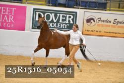 25R1516_05054 thumbnail