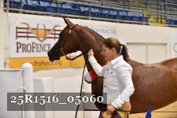 25R1516_05060 thumbnail