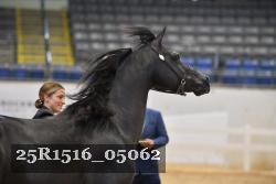 25R1516_05062 thumbnail
