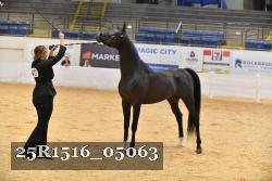 25R1516_05063 thumbnail
