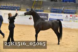 25R1516_05065 thumbnail