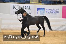 25R1516_05066 thumbnail