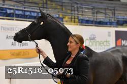25R1516_05073 thumbnail