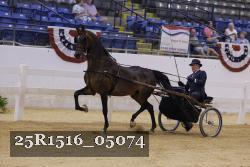 25R1516_05074 thumbnail