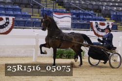 25R1516_05075 thumbnail