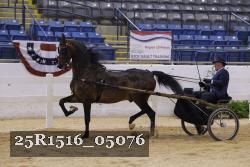 25R1516_05076 thumbnail