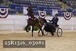 25R1516_05081 thumbnail