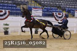 25R1516_05082 thumbnail