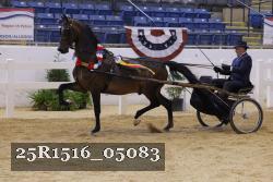 25R1516_05083 thumbnail