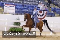 25R1516_00348 thumbnail