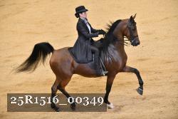 25R1516_00349 thumbnail