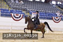25R1516_00350 thumbnail