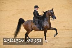 25R1516_00351 thumbnail