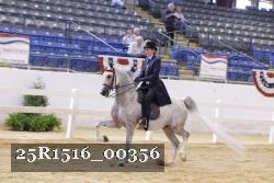 25R1516_00356 thumbnail