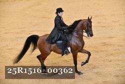 25R1516_00362 thumbnail