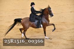 25R1516_00366 thumbnail