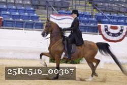 25R1516_00367 thumbnail