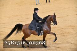 25R1516_00368 thumbnail