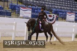 25R1516_05133 thumbnail