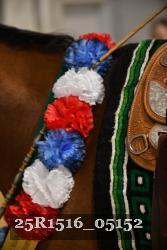 25R1516_05152 thumbnail