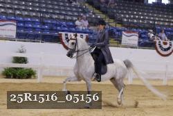 25R1516_05156 thumbnail