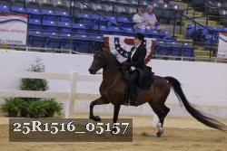 25R1516_05157 thumbnail