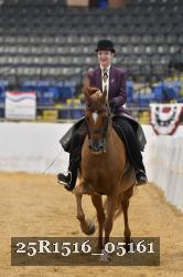 25R1516_05161 thumbnail