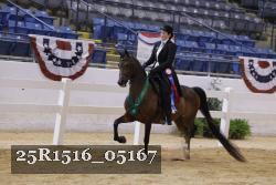 25R1516_05167 thumbnail