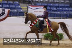 25R1516_05177 thumbnail