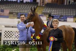 25R1516_05111 thumbnail