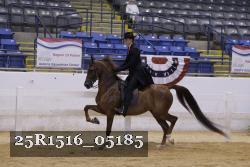 25R1516_05185 thumbnail