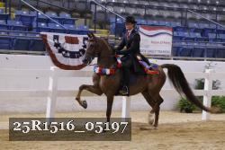 25R1516_05197 thumbnail