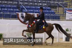 25R1516_05198 thumbnail