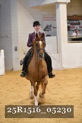 25R1516_05230 thumbnail