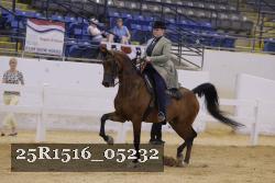 25R1516_05232 thumbnail