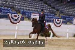 25R1516_05245 thumbnail