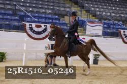 25R1516_05246 thumbnail