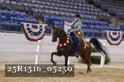 25R1516_05250 thumbnail