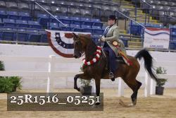 25R1516_05251 thumbnail