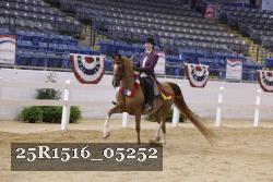 25R1516_05252 thumbnail